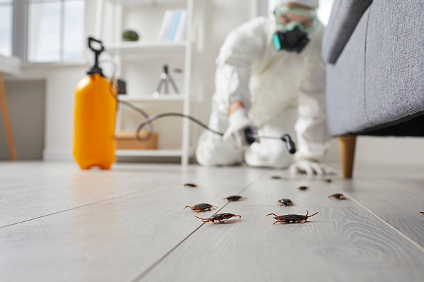 Trusted Fumigation Services service in Rio Pinar, FL - Nex Pest Control